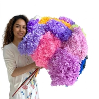 Fleur stabilisée, branche unique d'hortensia Anna, technique de teinture pour une longue durée de vie, pour bouquet de mariage, Noël, Pâques, Fête des Mères