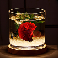 Pot en verre borosilicaté haute capacité monocouche vente en gros pour décoration de bureau, aquarium, arrangement floral et vase.