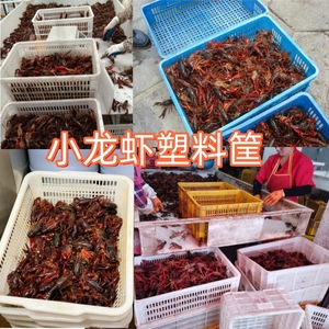 Crayfish Plastic Crates 55L Perforated <b>Stackable</b> For Freshwater Transport Storage - Product Image 1