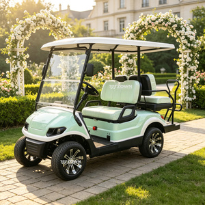 Carrito de Golf Eléctrico de Lujo con Certificación CE para Hoteles, Resorts, Atracciones Turísticas, Fabricante, Venta al Por Mayor, 4 Pasajeros, Todoterreno - Product Image 1