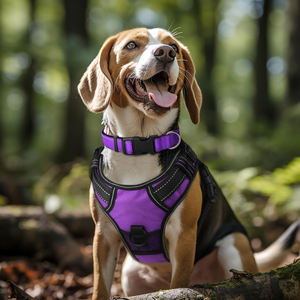 Kalung Anjing Sedang yang Dapat Disesuaikan, Berbahan Neoprene Lembut dan Berlapis, <span class=keywords><strong>Nylon</strong></span> Bernapas dengan Gesper ABS, Pola Reflektif Solid untuk Pelatihan - Product Image 5