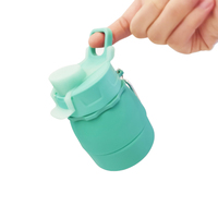 Bouteille en silicone pliable écologique sans BPA avec couvercle à pression et poignée de transport, réutilisable pour le camping, les activités de plein air et le sport