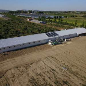 <span class=keywords><strong>Kit</strong></span> de construction d'entrepôt <span class=keywords><strong>agricole</strong></span> préfabriqué en structure métallique durable de style ferme - Product Image 6