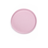 Plaque d'aspiration pour chat