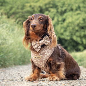 Pet Boutique Sang Trọng Con Chó Khai Thác Vest Hoa Mô Hình Jacquard Vật Nuôi Cổ áos Với D Vòng Dây Xích Tùy Chỉnh Cá Nhân Chó Phụ Kiện - Product Image 4