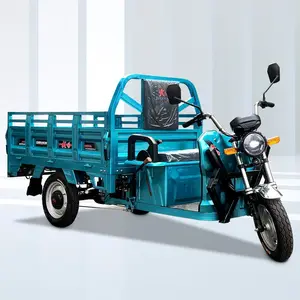 DAYANG Hot Selling Electric Tricycle 3 Wheel Ev High Loading Capacity Cargo Tricycle for Global Market Adults Max Light Body 72V