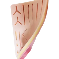 Coussinet de suture en silicone à simulation élevée, kit de formation à suture médicale, modèle de peau traumatique humaine