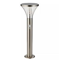 Lampe solaire LED extérieure étanche en acier inoxydable pour jardin, pelouse, patio et allée, 600 lm