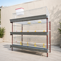 Cages en batterie pour poulets de chair, 3/4 niveaux, pour l'élevage avicole, capacité 20000 oiseaux, conception WIN directe usine