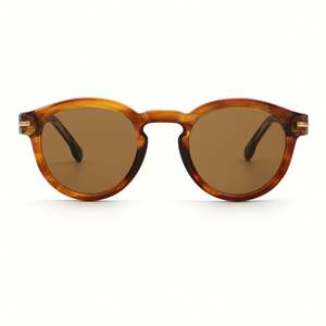 Lunettes de soleil rondes tendance 2025 avec rivets léopard, protection UV400, monture TR90, personnalisables avec logo, pour hommes et femmes - Product Image 4