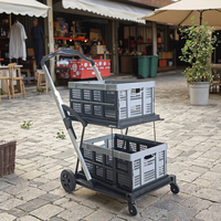 LEADLOONG Caisse de rangement pliable à deux niveaux Chariot de courses pliable mobile Utilisation en gros pour la maison