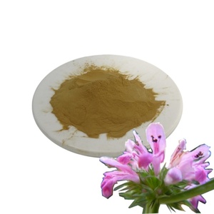 Wholesale Natural Motherwort Powder Herbal <b>Extract</b> Powder Natural Motherwort <b>Extract</b> Powder Yi Mu Cao Motherwort <b>Extract</b> - Product Image 3