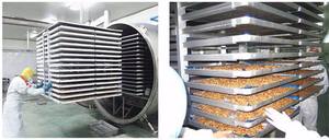 Penjualan Terbaik Xinyang 200m2 pengering pembekuan makanan rumah - Product Image 3