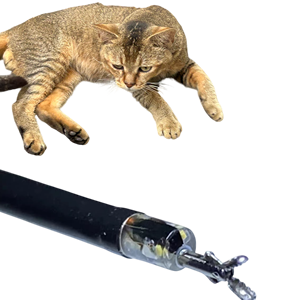 Ureteroscopio de 2.1 mm con Canal de Biopsia de 1.1 mm, Cirugía 6.3 FR y 7.5 FR para Dispositivos de Monitoreo Veterinario para Gatos y Animales - Product Image 1