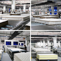 STENBURG Ligne de production de machines de lit entièrement automatisées 20 + ans d'expérience Atex Matelas Meubles Ligne Latex Qualité supérieure