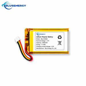 แบตเตอรี่ลิเธียมโพลิเมอร์แบบชาร์จได้ OEM 3.7V 3000mAh รุ่น 104065 สำหรับอุปกรณ์ GPS POS และอุปกรณ์การแพทย์ - Product Image 1