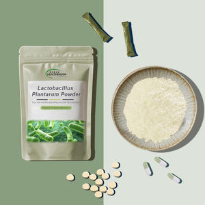 Wuhan Healthdream Probiotica 5-laags Micro-Inkapseling Techologie Lactobacillus Plantarum Poeder 100 Miljard Cfu/G - Product Image 1