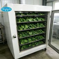 Déshydrateur alimentaire de haute technologie pour légumes et tomates