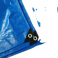 Bâche PVC 1000*1000 20x20 630gsm 3.2m B2 Ignifuge Conforme aux normes REACH Résistante aux UV et au froid Revêtement Enduit Feuilles Lourdes pour Rideaux