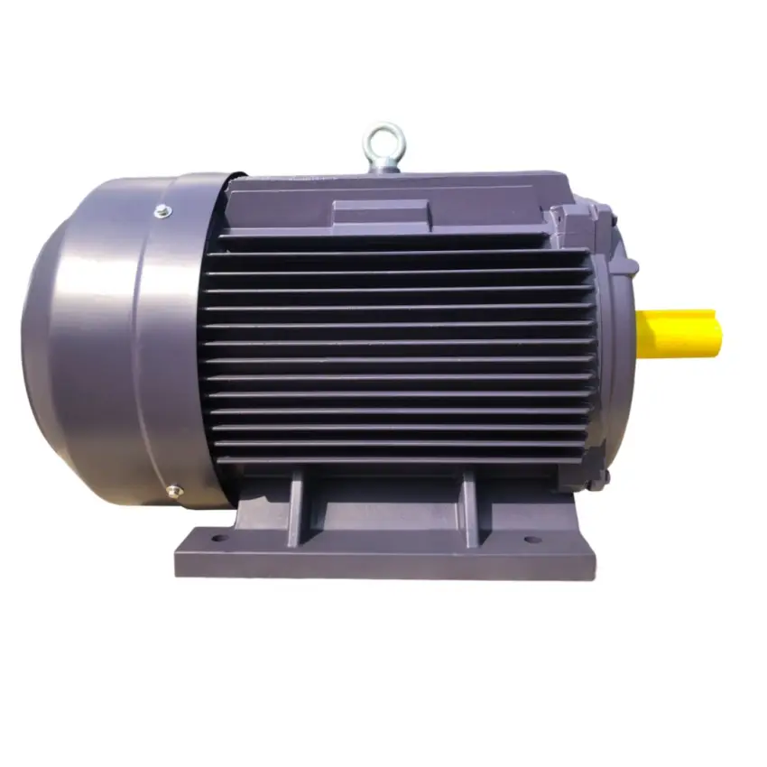 50Hz 60Hz Hoch effizienter dreiphasiger Käfig aus Gusseisen AC Industrial Induction Asynchronous Electric Motor