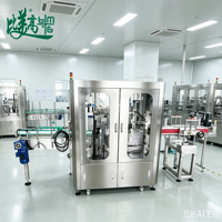 Machine d'inspection visuelle entièrement automatique pour bouteilles d'alcool avec vérification de la position des étiquettes, détection d'impression de caractères et détection de bouchons inclinés