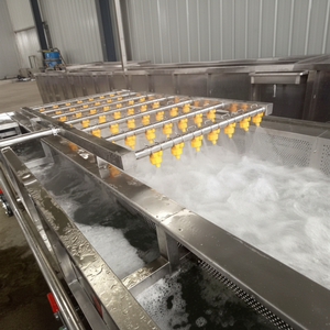 Nouvelle laveuse de fruits à immersion de conception à bon prix - Product Image 1