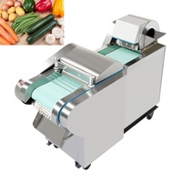 Multifunctionele groentesnijder, -rasp en -schaafmachine voor commercieel gebruik, geschikt voor het snijden en raspen van uien en wortelen.
