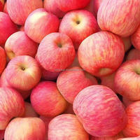Nieuwe oogst Fuji Rode & Groene Granny Smith Graad 1 Shandong verse appels 1 jaar houdbaarheid fabrieks prijs groothandel levering