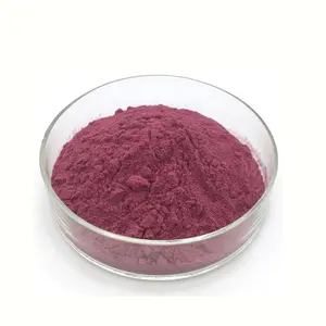 Factory Supply Pulverisiertes Acai Berry Natürliches Acai Berry Frucht pulver