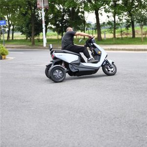 Triciclo eléctrico EEC de doble motor con neumático de grasa corporal abierto de 60V para personas dobles - Product Image 1