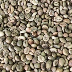 Green Robusta <b>Coffee</b> <b>Bean</b> Size 16 100% Raw <b>Coffee</b> <b>Beans</b> Use in Industrial <b>Coffee</b> Roasting 95% Maturity Jute Bag - Product Image 4