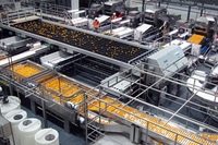 Sap Maken Machine Sap Productieproces Oranje Verwerkingsfabriek Oranje Op Maat Mits Fruit Juicer Machine 3000