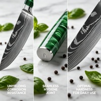 Set di 10 Coltelli da Cucina in Acciaio Inossidabile con Manico in Resina Epossidica per Uso Domestico