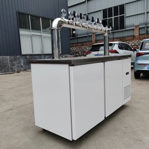 Trung Quốc Thiết Kế Mới D-Hình Dạng Bia Dispenser Máy 20L/30L Công Suất Di Động Dự Thảo Hệ Thống Cho Nhà/Sử Dụng Thương Mại - Product Image 6