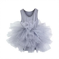 Gaun Tutu Balet Anak Perempuan Renda Musim Semi Tulle Tanpa Lengan Katun Spandex Grosir Kostum Pesta Pertunjukan Tari Balita