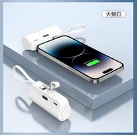 Schnelles 2-in-1 Mini-Plastik/PVC-Mobilladegerät 15W USB-Eingangsschnittstelle/Micro-USB/Typ-C-Ausgang Batterieloses Ladekit
