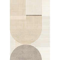 Style japonais peau d'agneau imitation cachemire tapis de sol salon chambre tapis baie vitrée antidérapant résistant à la saleté en gros