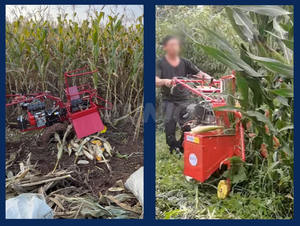 Piccola macchina agricola una fila di mais raccoglitore Mini trattore a piedi singola fila macchina per la raccolta del mais prezzo 1set - Product Image 6