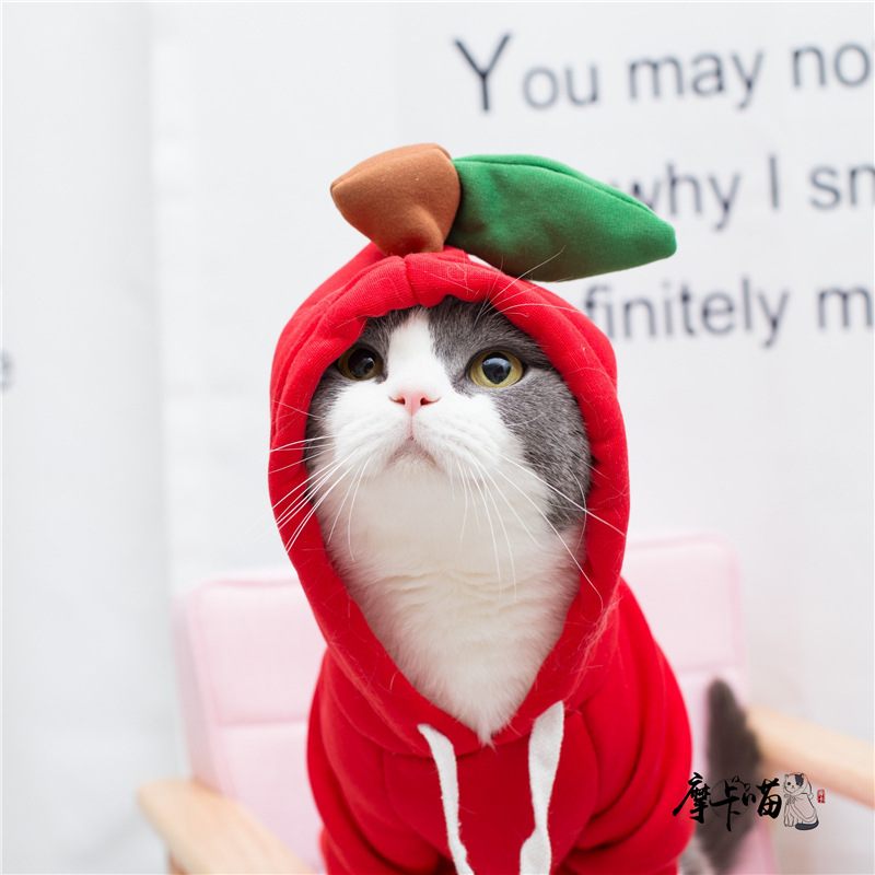 Sweat à capuche Apple