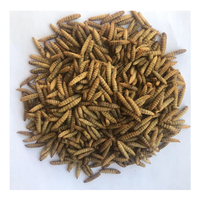 Soldat noir larves de mouches BSFL asticot séché alimentation animale vers comestibles aliments pour animaux de compagnie alimentation de volaille