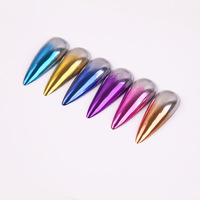 Ensemble de poudres pour nail art professionnel à usage en salon, 12 couleurs, avec effets holographiques et chromés