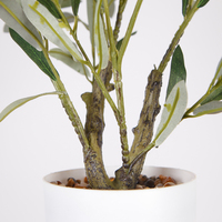 Fausse Plante En Gros Mini Olivier Artificiel En Pot Avec Olive Sur La Branche Pour La Décoration Intérieure