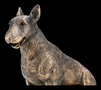 2025 chien Figurine Bull Terrier couleur bronze Bull Terrier Statue sculpture personnalisée chien FIGURE