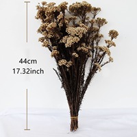Bunga Sakura Kering Asli Alami, Cabang Cantik, Diawetkan untuk Aromaterapi, Properti Fotografi, Dekorasi Pernikahan, Rumah, dan Kantor