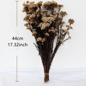 Rames de fleurs de cerisier séchées naturelles et préservées pour l'aromathérapie, <span class=keywords><strong>la</strong></span> photographie, les mariages, <span class=keywords><strong>la</strong></span> décoration de <span class=keywords><strong>la</strong></span> maison et du bureau - Product Image 6