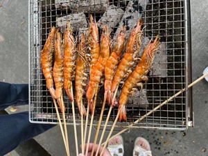 Barbecue portable d'extérieur en acier inoxydable <span class=keywords><strong>pour</strong></span> 5 personnes avec dispositif de sécurité flamme, idéal <span class=keywords><strong>pour</strong></span> pique-nique, jardin, fête, cuisine, terrasse - Product Image 6
