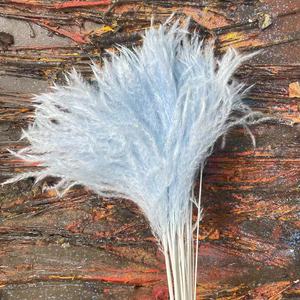 Flor de Pampa seca superventas, flores de caña seca Bohemia, fragmitas esponjosas para decoración de boda - Product Image 5