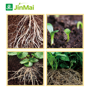 ปุ๋ยเร่งรากละลายน้ำ 4-22-0 + บี เฟ คิว เอ็มเอ็น ซิงค์ โม<span class=keywords><strong>ล</strong></span>ิบดีนัม |   สารกระตุ้นการเจริญเติบโตของต้นกล้า - Product Image 4