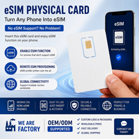 Carte SIM IoT 4G LTE avec GPRS/GSM 30 Mo, valable 1 an pour traceur GPS - Insertion et accès Internet/données inclus