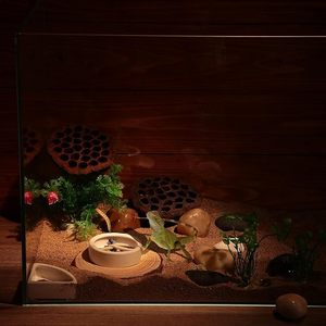 Juego de platos antideslizantes de cerámica para reptiles, cuenco de alimentación a prueba de <span class=keywords><strong>escape</strong></span> y Cueva escondite para lagartos, serpientes y tortugas - Product Image 5
